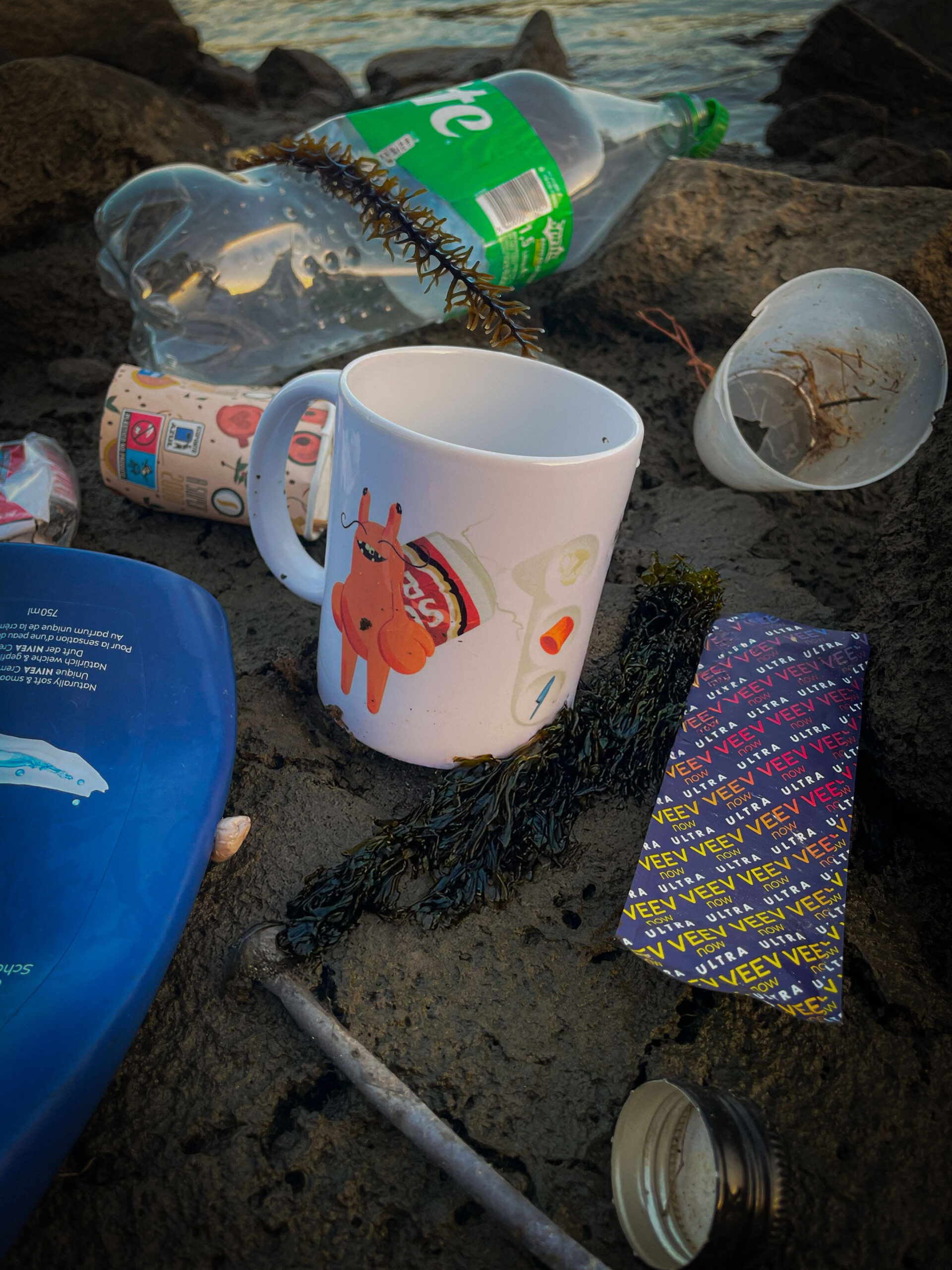 Character Design: The Hermit Crab as an Environmental Metaphor